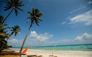 Zanzibar - otok začina s bijelim pijeskom i tirkizno plavim okeanom